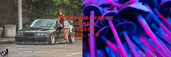 гидра Балахна